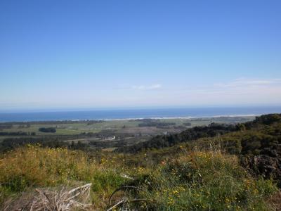 Martys Land